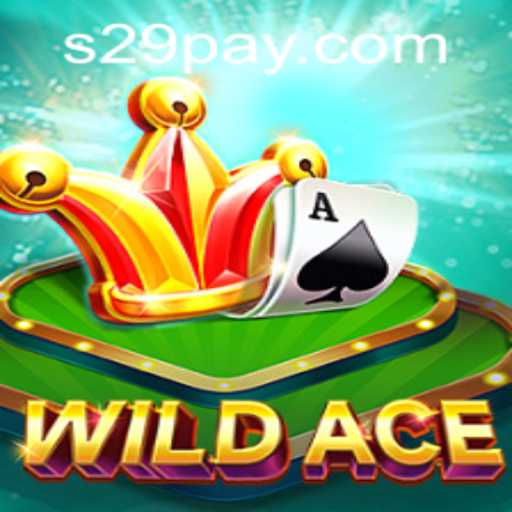 Exploring the Thrills of WildAce: The Game of Chance and Strategy
